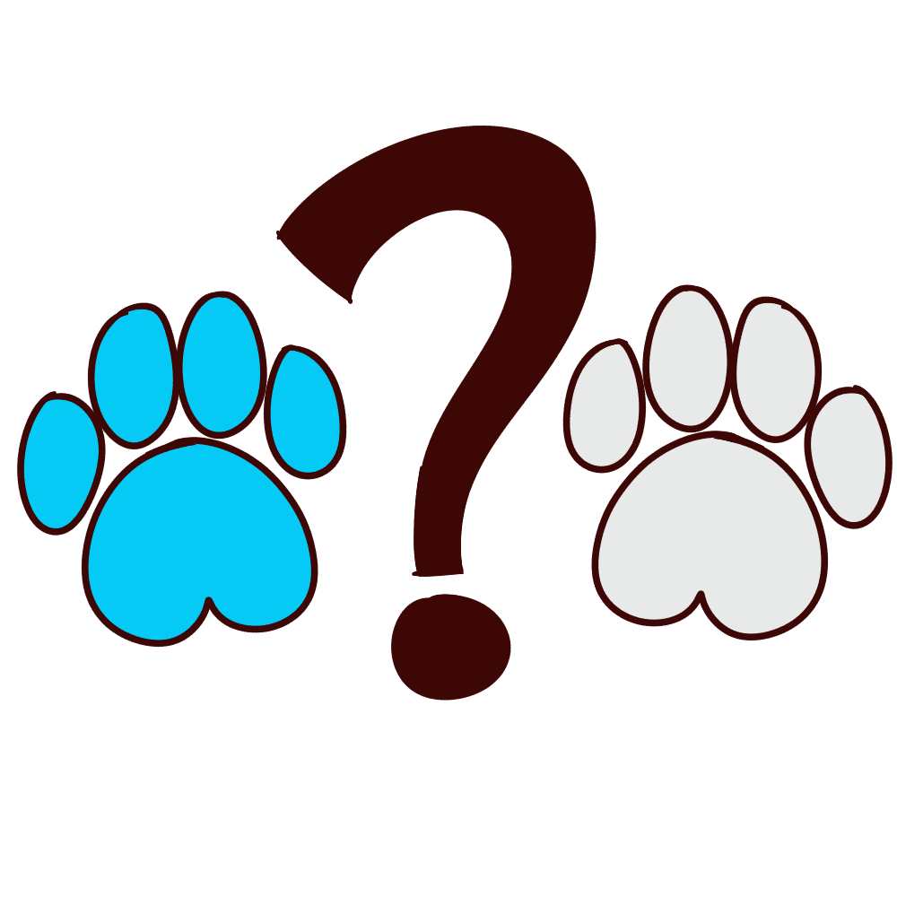 a question mark between two paws, one cyan and the other white